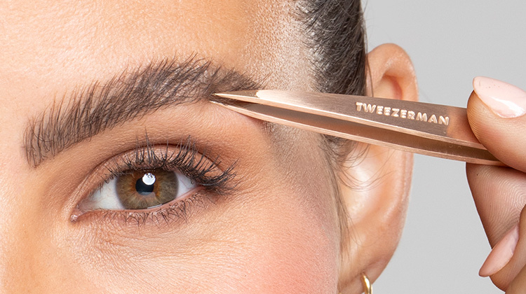 model with point tweezer